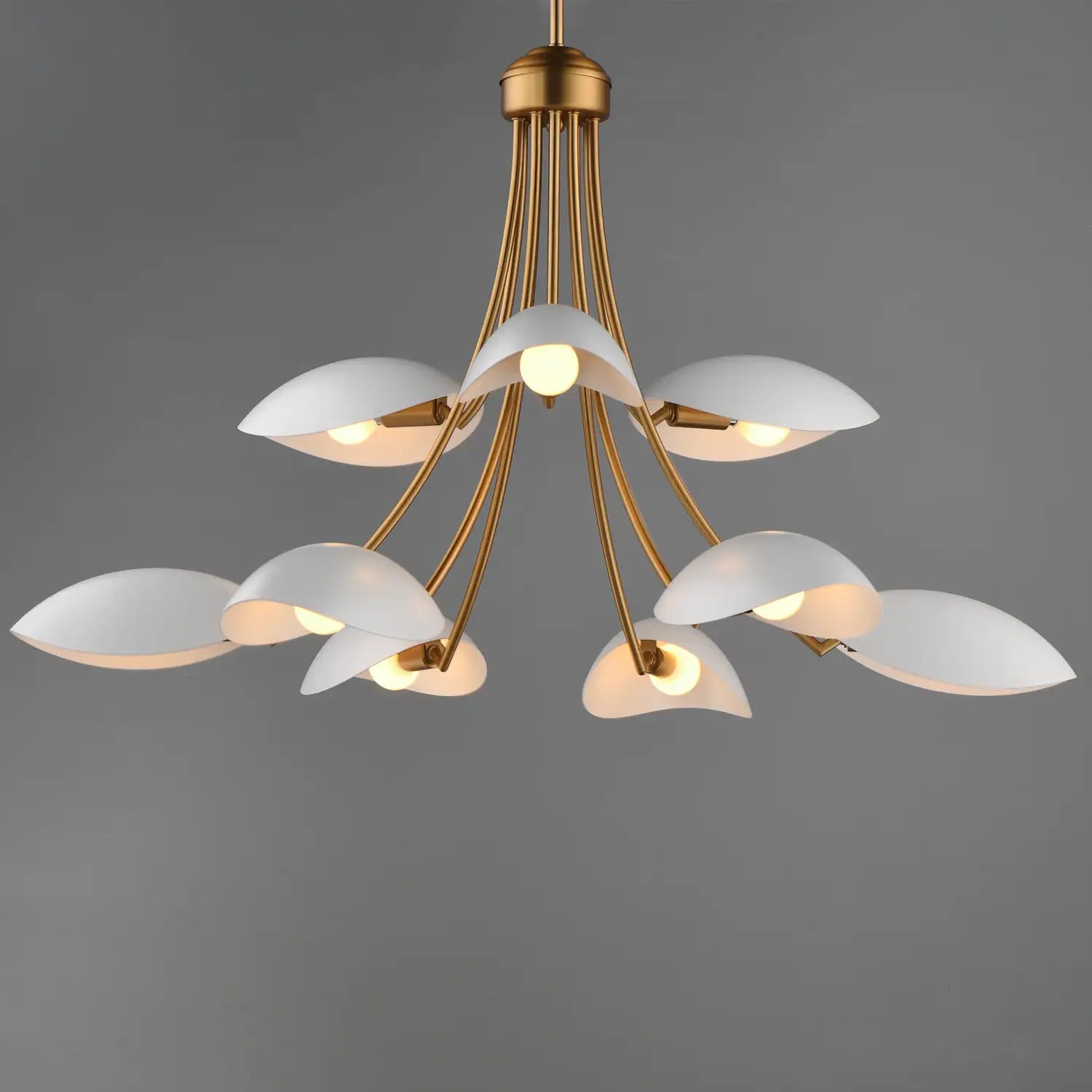MAXIM, Maris Chandelier, CHANDELIER LIGHT