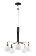 MAXIM, CORALINE-CHANDELIER, PENDANT LIGHT