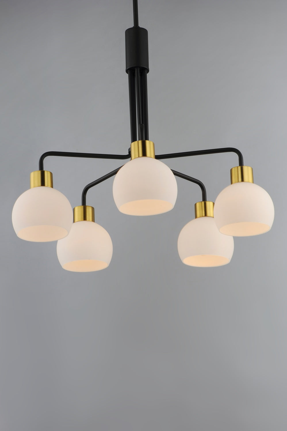 MAXIM, CORALINE-CHANDELIER, PENDANT LIGHT