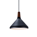 MAXIM, NORDIC-SINGLE PENDANT, CHANDELIER LIGHT