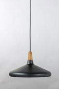 MAXIM, NORDIC-SINGLE PENDANT, CHANDELIER LIGHT