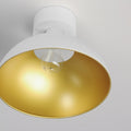 MAXIM, Dawn Flush Mount, FLUSH MOUNT CEILING LIGHTS