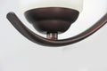 MAXIM, VITAL-CHANDELIER, PENDANT LIGHT