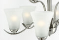 MAXIM, Vital Chandelier, CHANDELIER LIGHT