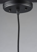 MAXIM, EARLY ELECTRIC-SINGLE PENDANT, CHANDELIER LIGHT