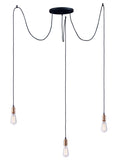 MAXIM, EARLY ELECTRIC-MULTI-LIGHT PENDANT, CHANDELIER LIGHT
