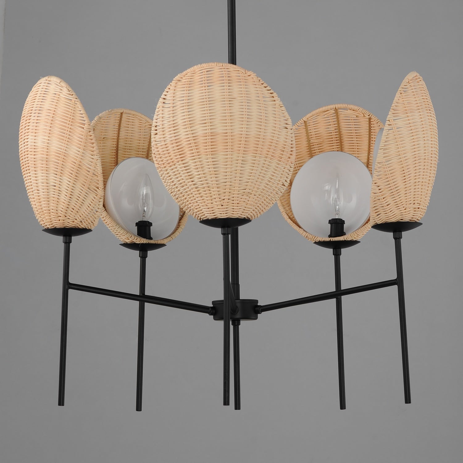 MAXIM, MALDIVES-CHANDELIER, PENDANT LIGHT