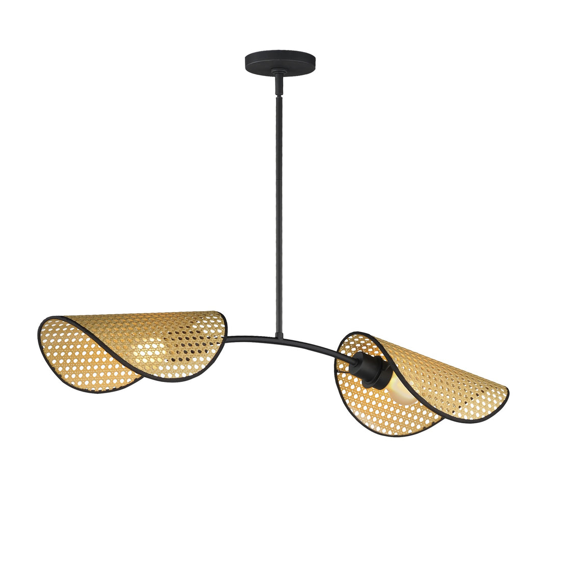 MAXIM, BONNET-LINEAR PENDANT, CHANDELIER LIGHT