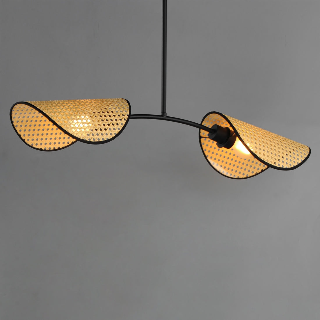 MAXIM, BONNET-LINEAR PENDANT, CHANDELIER LIGHT
