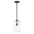 MAXIM, Hudson Pendant, PENDANT LIGHT