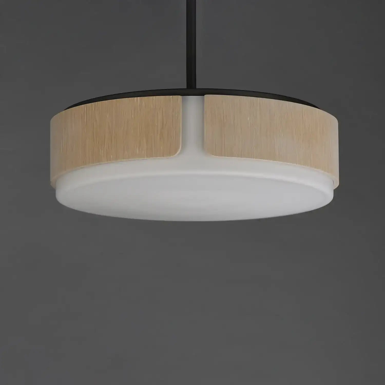 MAXIM, DRAUGHTSMAN-FLUSH MOUNT, FLUSH MOUNT CEILING LIGHTS