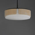 MAXIM, DRAUGHTSMAN-FLUSH MOUNT, FLUSH MOUNT CEILING LIGHTS