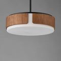 MAXIM, DRAUGHTSMAN-FLUSH MOUNT, FLUSH MOUNT CEILING LIGHTS
