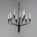 MAXIM, CALYX-CHANDELIER, PENDANT LIGHT