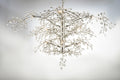MAXIM, CLUSTER-CHANDELIER, PENDANT LIGHT