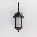 MAXIM, DOVER LED E26-OUTDOOR WALL MOUNT, OUTDOOR WALL LIGHTS