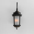 MAXIM, DOVER LED E26-OUTDOOR WALL MOUNT, OUTDOOR WALL LIGHTS