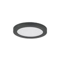 MAXIM, CHIP - 5CCT-UTILITY ITEMS, FLUSH MOUNT CEILING LIGHTS