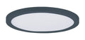 MAXIM, CHIP-UTILITY ITEMS, FLUSH MOUNT CEILING LIGHTS