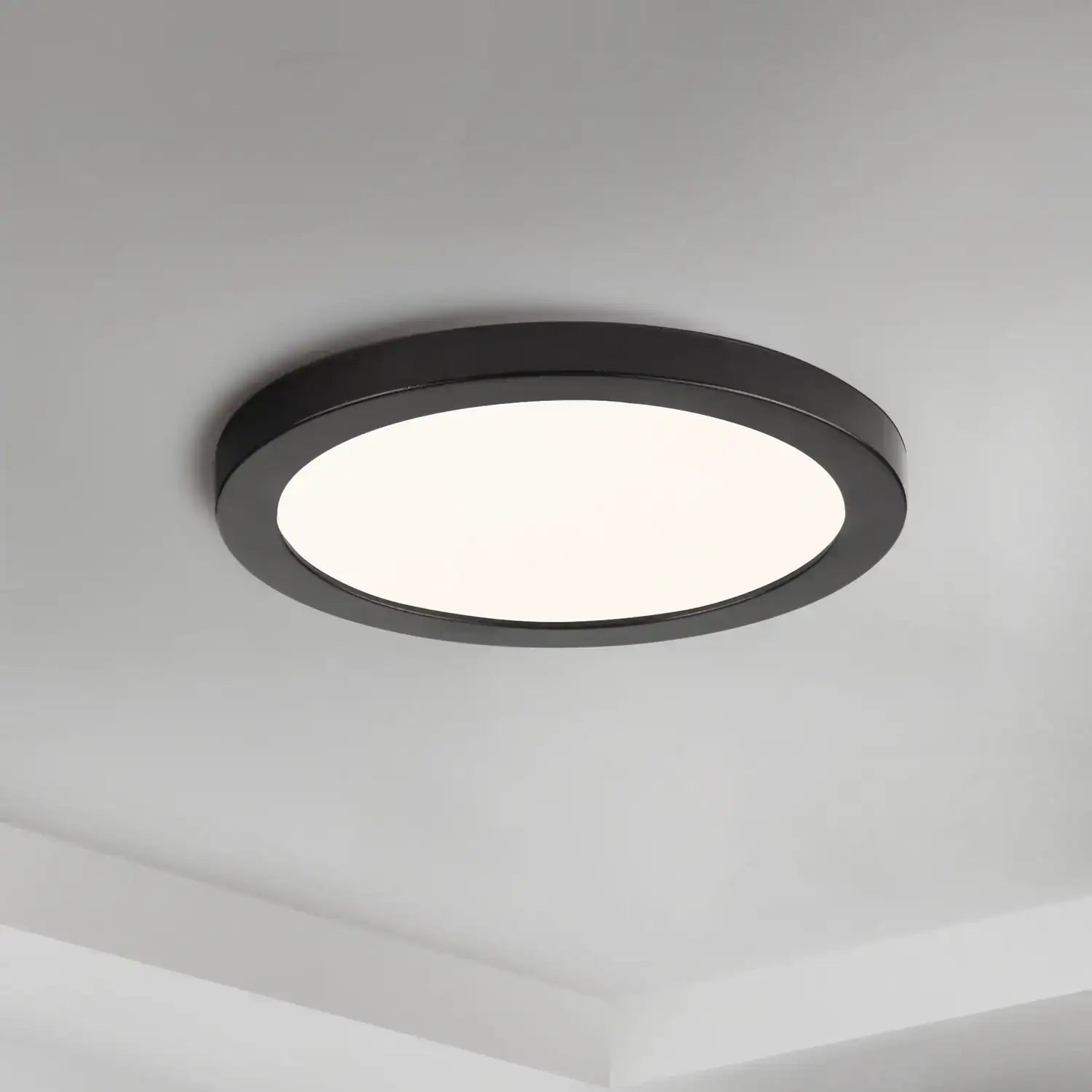 MAXIM, CHIP-UTILITY ITEMS, FLUSH MOUNT CEILING LIGHTS