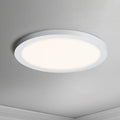 MAXIM, CHIP-UTILITY ITEMS, FLUSH MOUNT CEILING LIGHTS