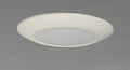 MAXIM, Diverse LED Flush Mount, FLUSH MOUNT CEILING LIGHTS