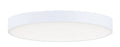 MAXIM, TRIM-FLUSH MOUNT, FLUSH MOUNT CEILING LIGHTS