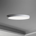 MAXIM, TRIM-FLUSH MOUNT, FLUSH MOUNT CEILING LIGHTS