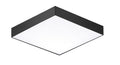 MAXIM, TRIM-FLUSH MOUNT, FLUSH MOUNT CEILING LIGHTS