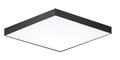 MAXIM, TRIM-FLUSH MOUNT, FLUSH MOUNT CEILING LIGHTS