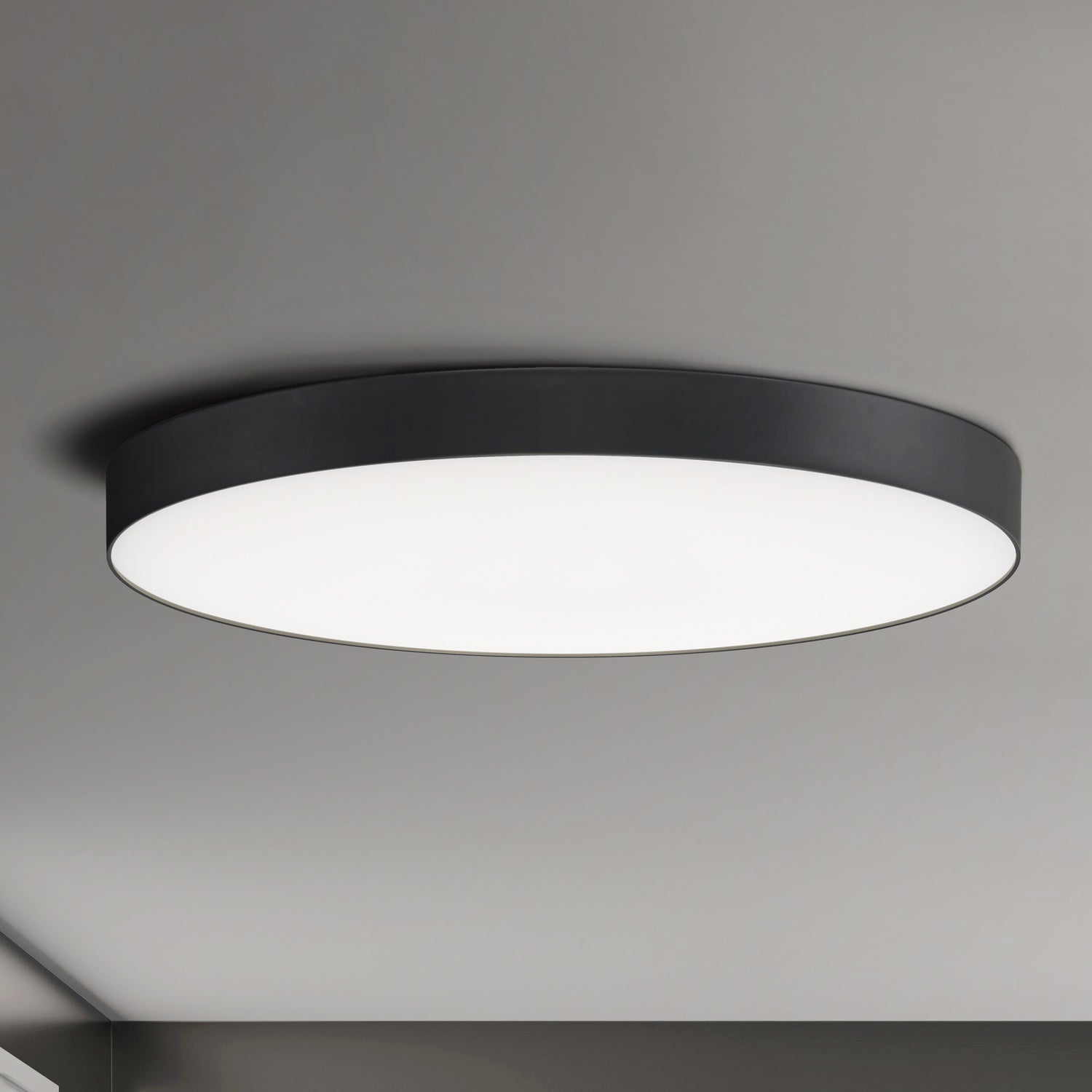 MAXIM, TRIM-FLUSH MOUNT, FLUSH MOUNT CEILING LIGHTS