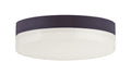 MAXIM, Illuminaire II LED Flush Mount, FLUSH MOUNT CEILING LIGHTS