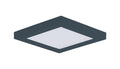 MAXIM, CHIP-FLUSH MOUNT, FLUSH MOUNT CEILING LIGHTS
