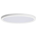 MAXIM, CHIP-UTILITY ITEMS, FLUSH MOUNT CEILING LIGHTS