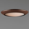 MAXIM, DIVERSE-FLUSH MOUNT, FLUSH MOUNT CEILING LIGHTS