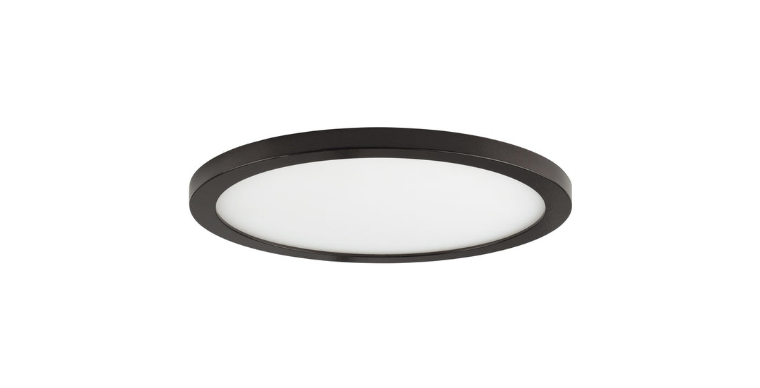 MAXIM, WAFER-FLUSH MOUNT, OUTDOOR CEILING LIGHTS