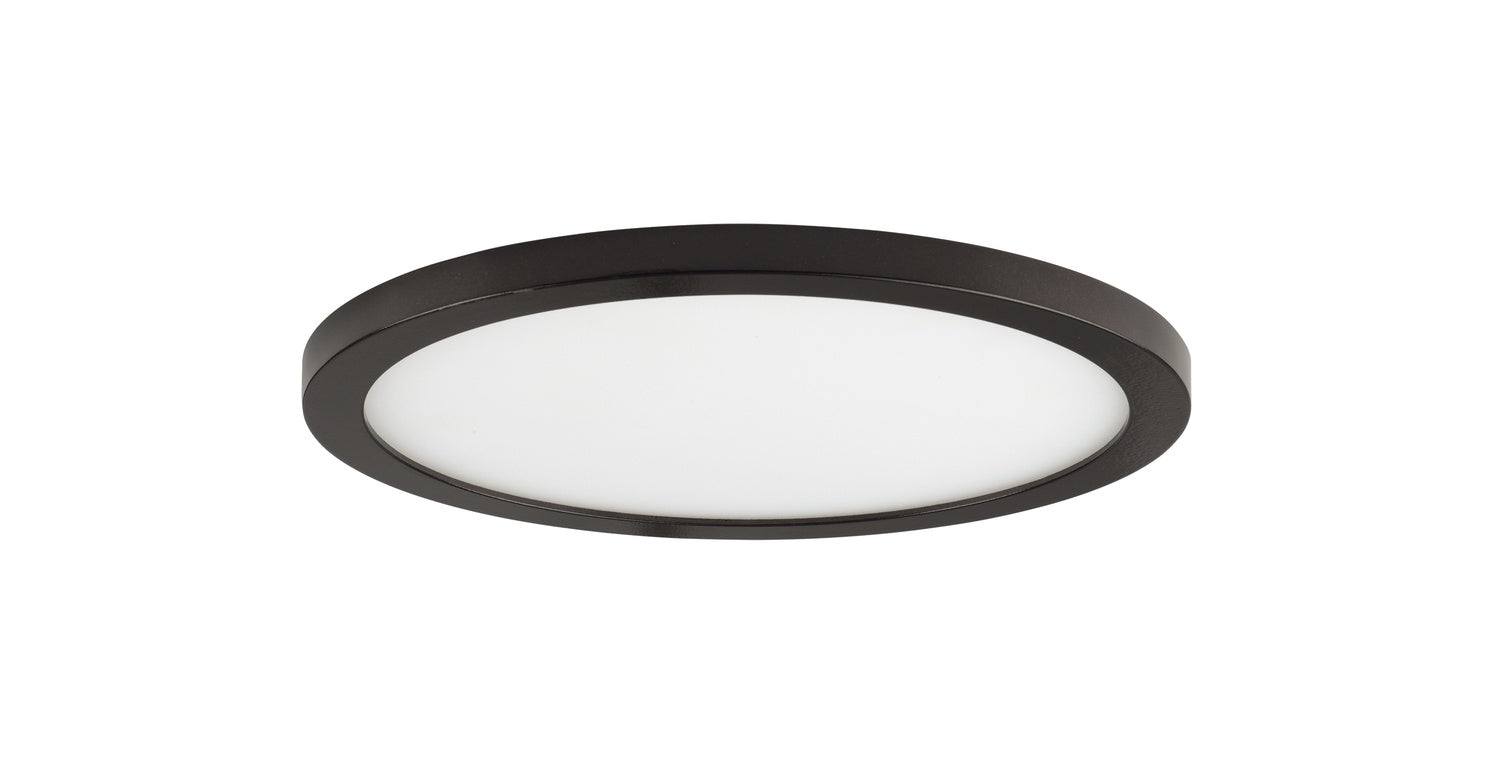 MAXIM, WAFER-FLUSH MOUNT, OUTDOOR CEILING LIGHT