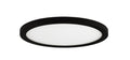 MAXIM, WAFER-FLUSH MOUNT, OUTDOOR CEILING LIGHT