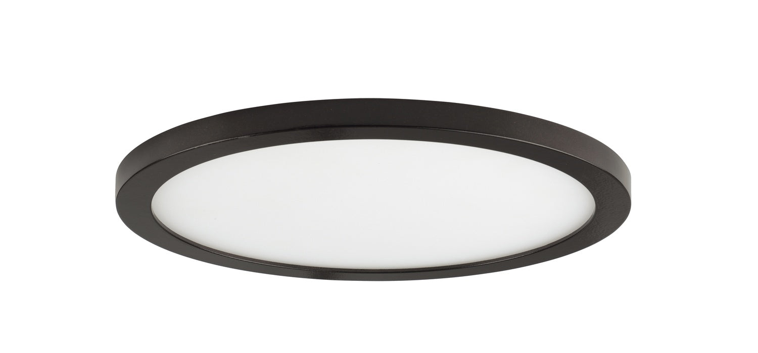 MAXIM, WAFER-FLUSH MOUNT, OUTDOOR CEILING LIGHT