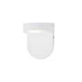 MAXIM, LEDGE-WALL SCONCE, WALL SCONCES