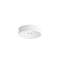 MAXIM, CALDERA-SEMI-FLUSH MOUNT, SEMI FLUSH MOUNT LIGHT