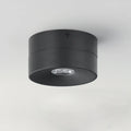 MAXIM, SWINGER-FLUSH MOUNT, SEMI FLUSH MOUNT LIGHT