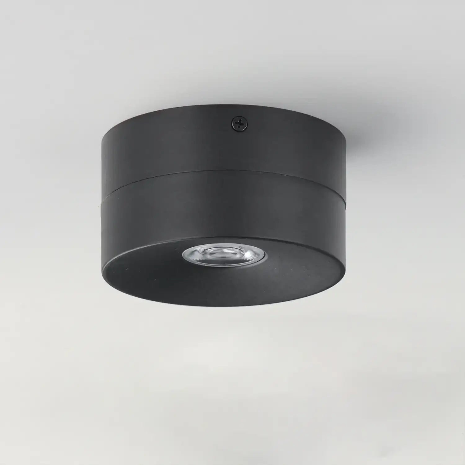 MAXIM, SWINGER-FLUSH MOUNT, SEMI FLUSH MOUNT LIGHT