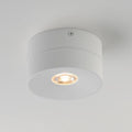 MAXIM, SWINGER-FLUSH MOUNT, SEMI FLUSH MOUNT LIGHT