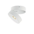 MAXIM, SWINGER-FLUSH MOUNT, SEMI FLUSH MOUNT LIGHT