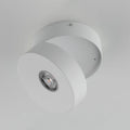 MAXIM, SWINGER-FLUSH MOUNT, SEMI FLUSH MOUNT LIGHT
