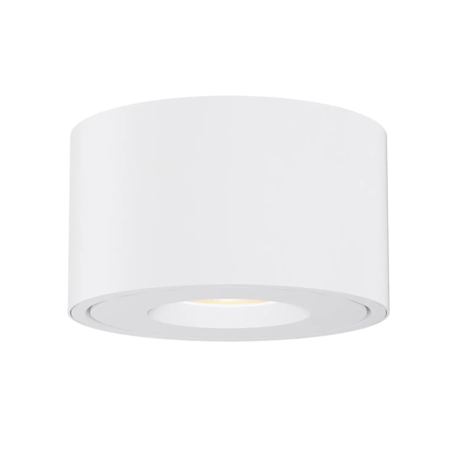 MAXIM, Fulcrum LED Flush Mount w Gimbal, FLUSH MOUNT CEILING LIGHTS