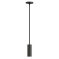 MAXIM, Fulcrum LED Pendant w Gimbal, PENDANT LIGHT