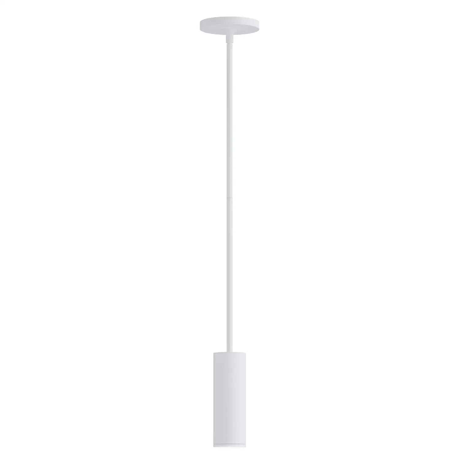 MAXIM, Fulcrum LED Pendant w Gimbal, PENDANT LIGHT