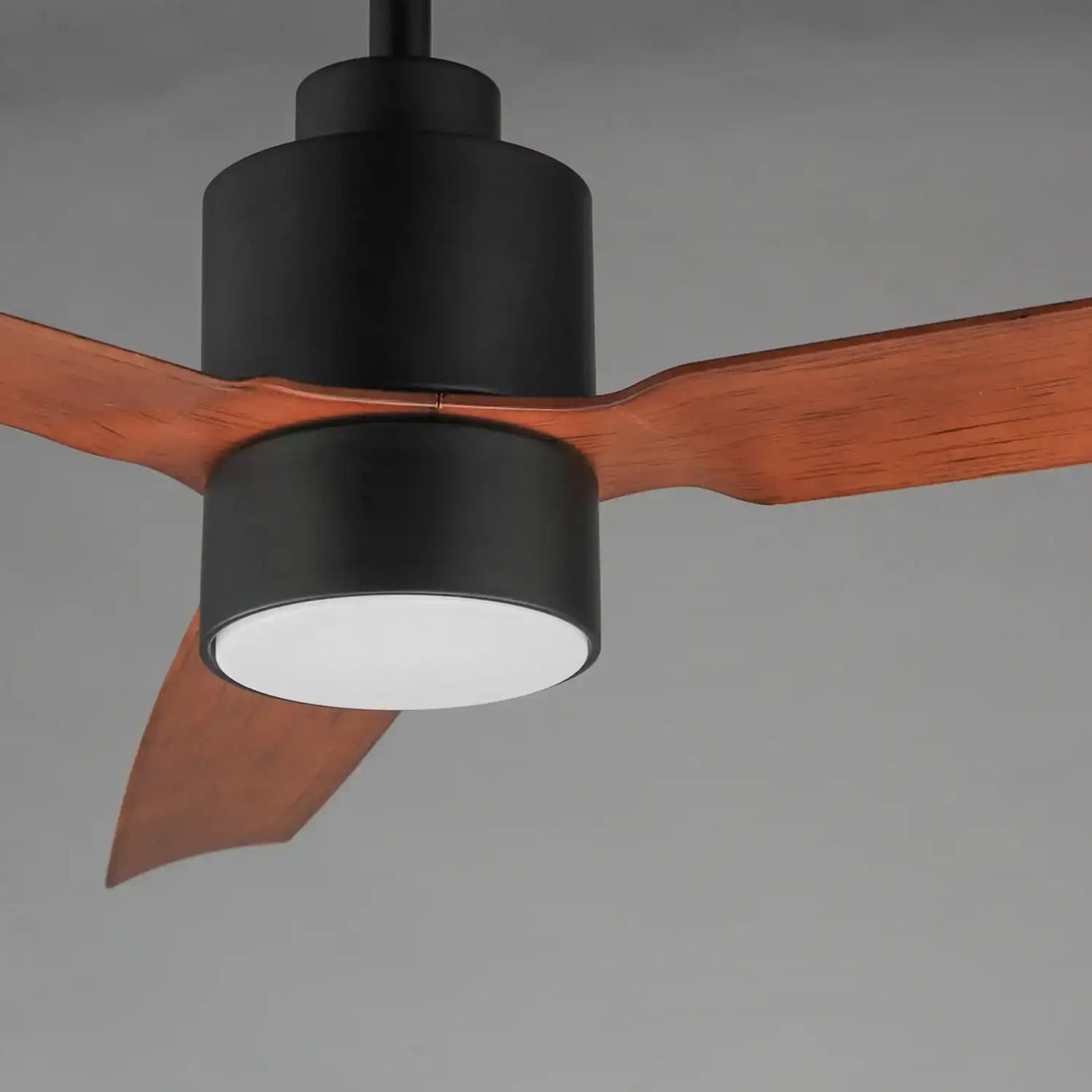 MAXIM, FALCON - WET-INDOOR CEILING FAN, OUTDOOR CEILING FAN